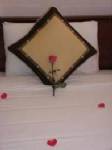 Holiday Hotel Hue  BOOKING